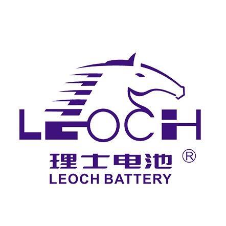 理士LEOCH蓄電池DJM1250S 12V50AH閥控式鉛酸免維護