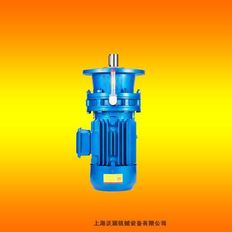 立式擺線減速器BLD13-1/59-Y3KW-4P針輪減速機(jī)