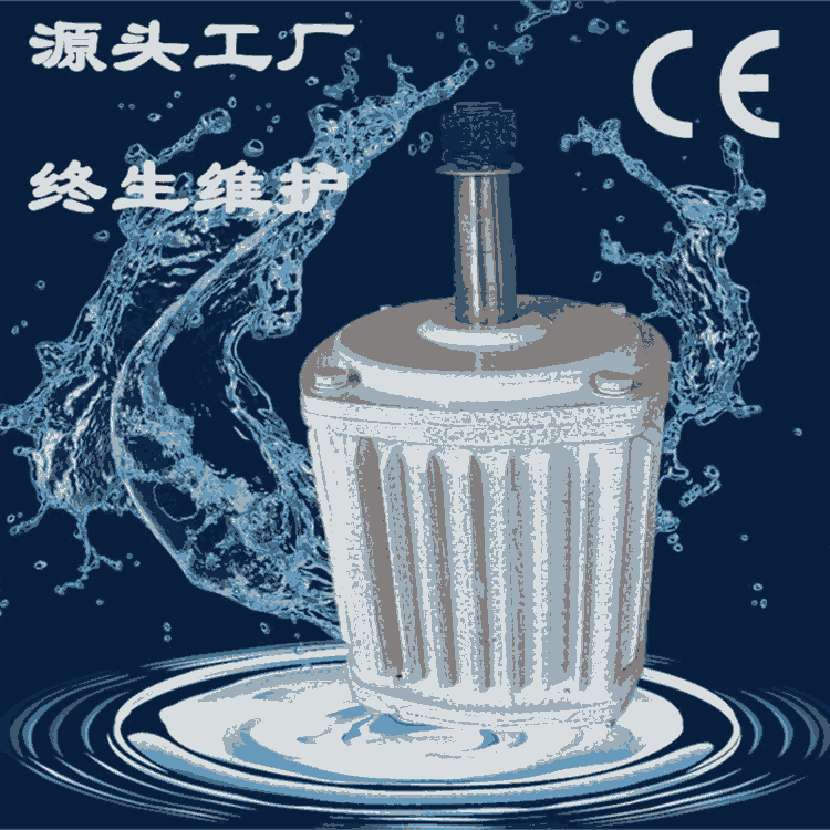 生產(chǎn)定制2kw小型直流低速永磁發(fā)電機(jī)馬達(dá)水輪發(fā)電機(jī)