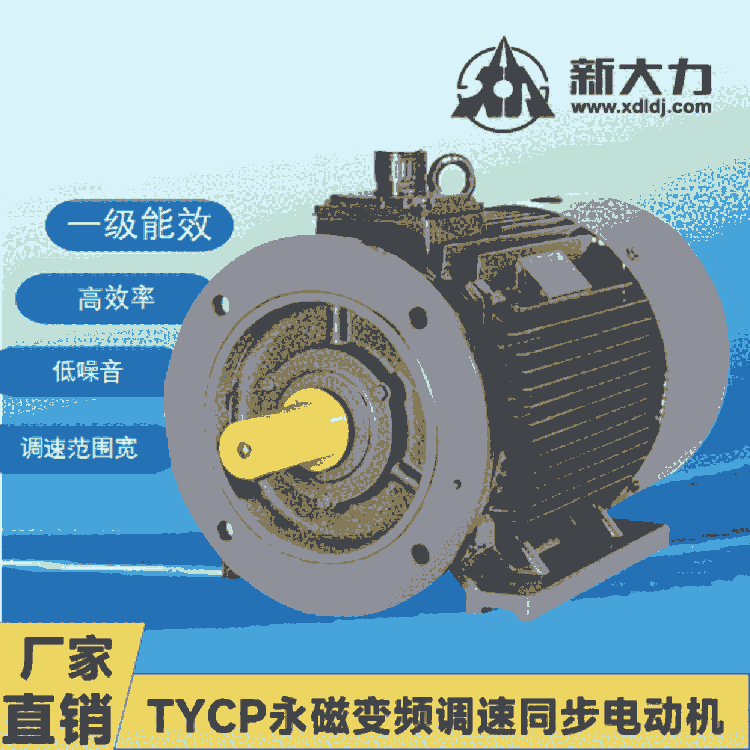 新大力電機 一級能效 稀土永磁變頻同步電動機 TYCP250M-8-110KW 永磁電機