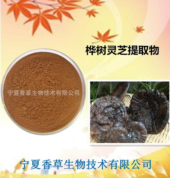 樺樹靈芝提取物 樺樹茸多糖 白樺茸多肽 質(zhì)量保證 量大從優(yōu)