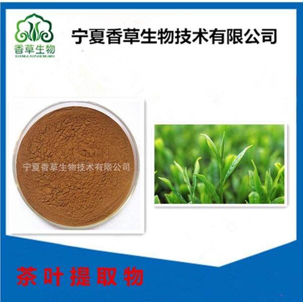 茶葉提取物 香草生物供應(yīng)食品級(jí)綠茶粉 茶氨酸20% 綠茶多糖