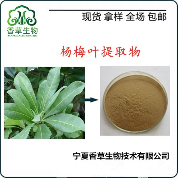 楊梅樹葉提取物 楊梅葉粉價格 浸膏粉 濃縮楊梅樹葉粉批發(fā)