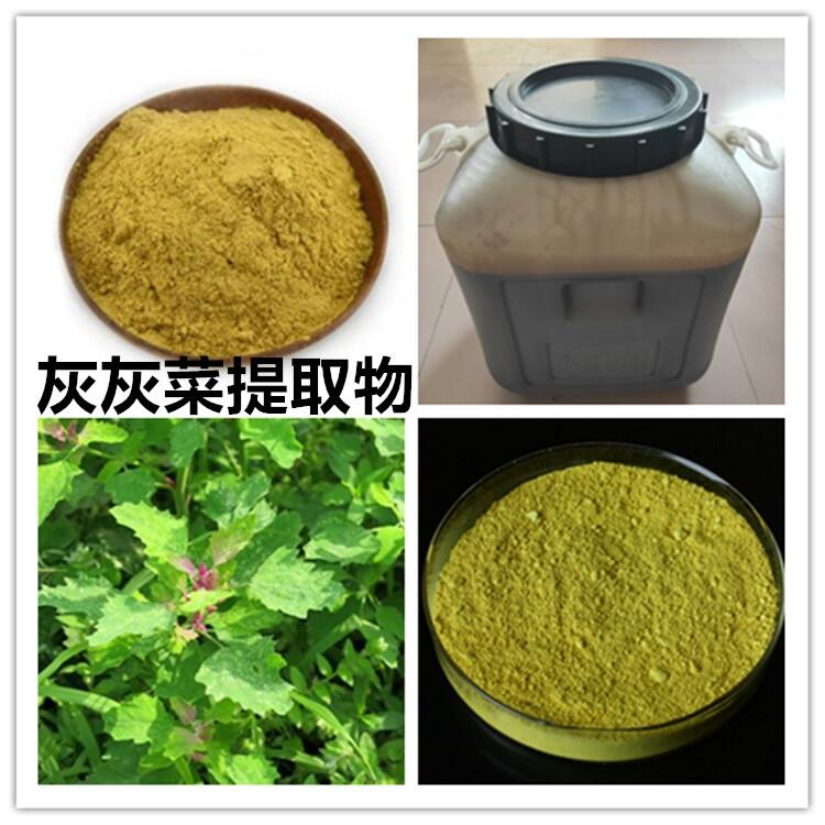 灰灰菜提取物生產(chǎn)基地 野灰菜粉價格 灰蓼頭草濃縮液 灰灰菜速溶粉