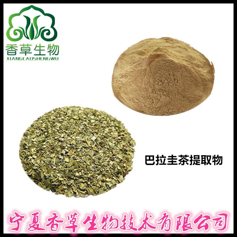 巴拉圭茶提取物 巴拉圭多酚含量 巴拉圭粉價(jià)格 馬黛茶速溶粉