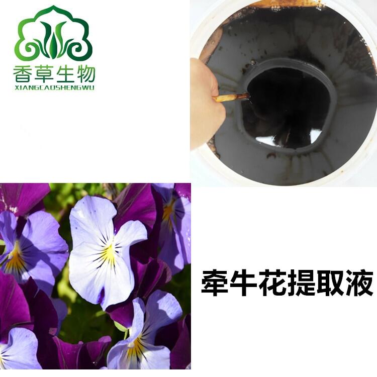 牽牛花提取液出廠價(jià) 喇叭花浸膏 流浸膏 牽?；饪s液批發(fā)