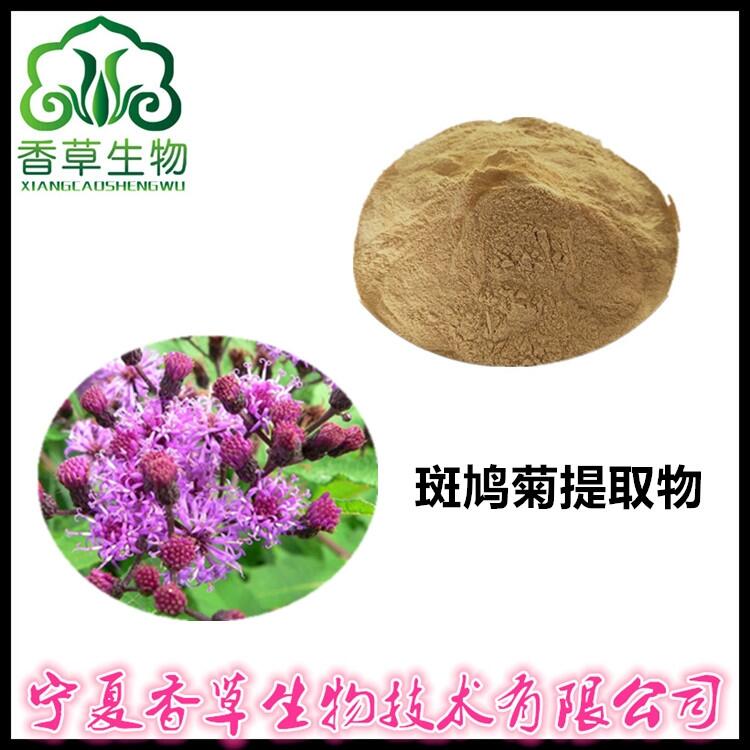 斑鳩菊提取物水提 斑鳩菊粉80目 速溶火滕菊濃縮粉批發(fā)