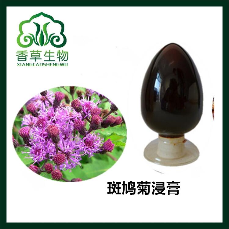 斑鳩菊浸膏批發(fā) 斑鳩菊提取液 流浸膏供應(yīng) 火炭樹濃縮液