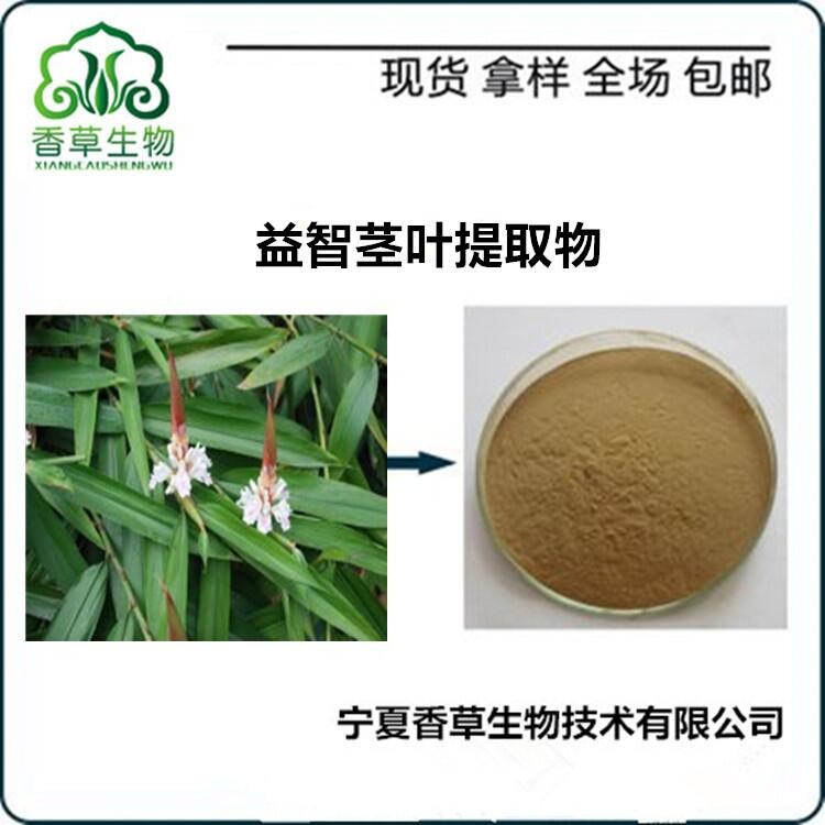 益智莖葉提取物 速溶粉 益智莖葉粉批發(fā) 益智莖葉濃縮浸膏