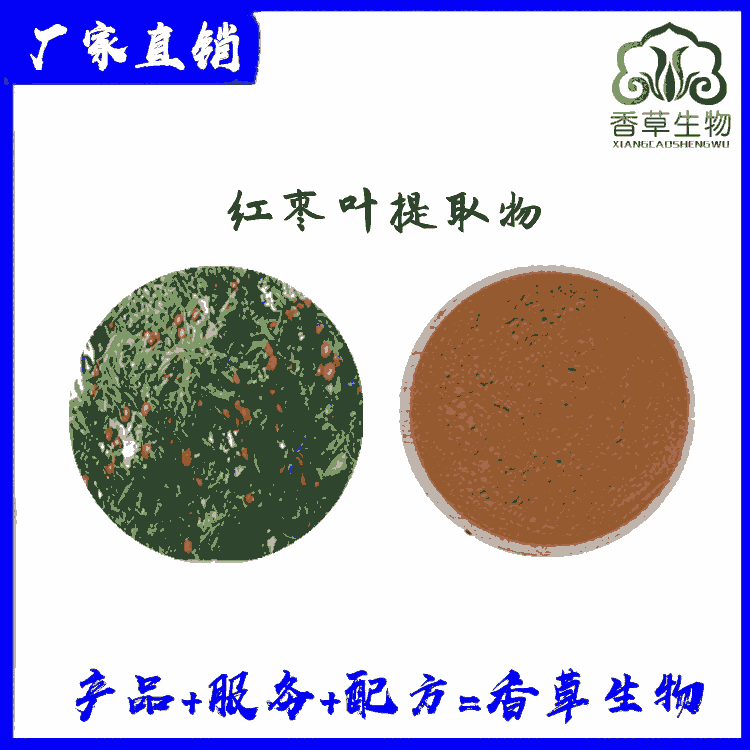 紅棗葉提取物 紅棗葉濃縮浸膏粉 紅棗葉噴霧干燥粉批發(fā)