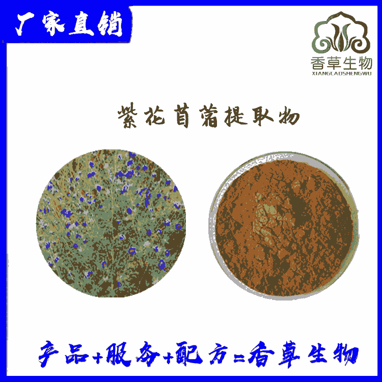 紫花苜蓿提取物供應商 紫花苜蓿粉批發(fā) 紫花苜蓿噴霧干燥粉