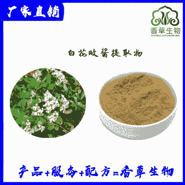 白花敗醬提取物10:1 白花敗醬粉 浸膏粉 濃縮白花敗醬粉供應(yīng)