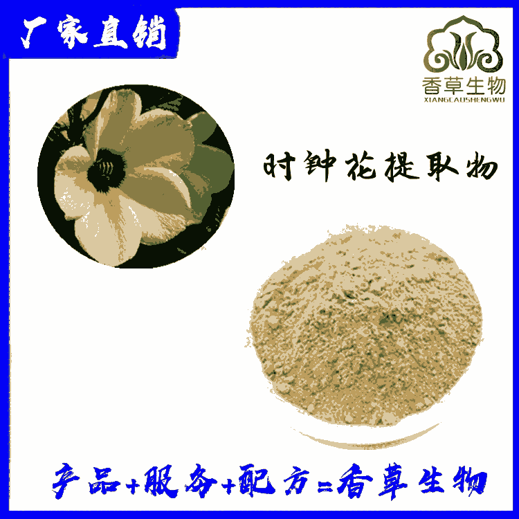 時(shí)鐘花提取物10:1 時(shí)鐘花粉 時(shí)鐘花速溶粉水溶 西番蓮花提取物