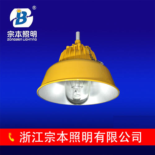 BPC8700防爆平臺燈，鐵路、電廠照明，BPC8700