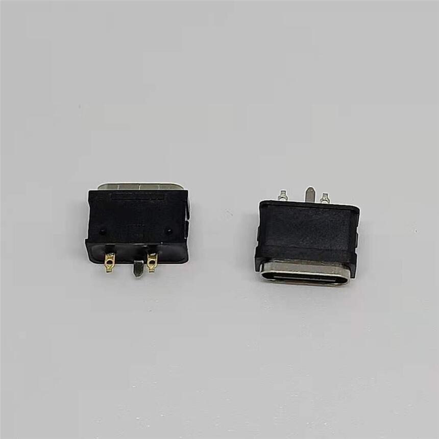 USB 3.1  TYPE-C 防水母座2P 立式DIP帶固定腳