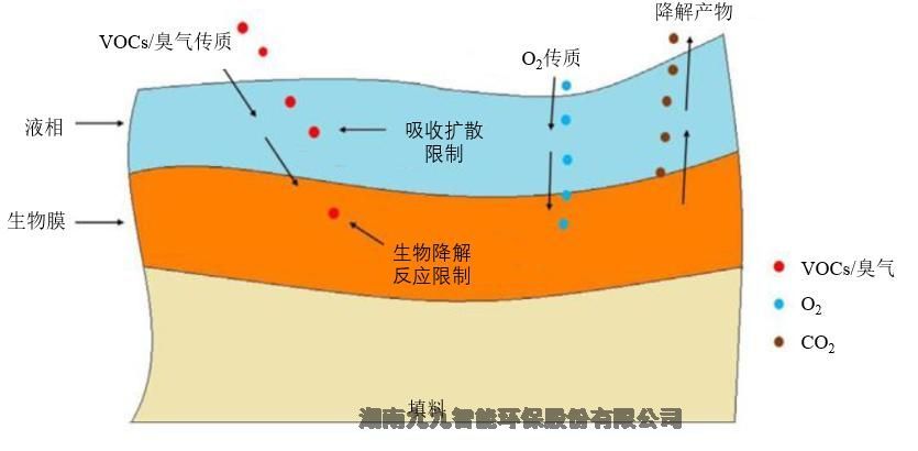 河南 工業(yè)污水廢氣的惡臭治理技術(shù)