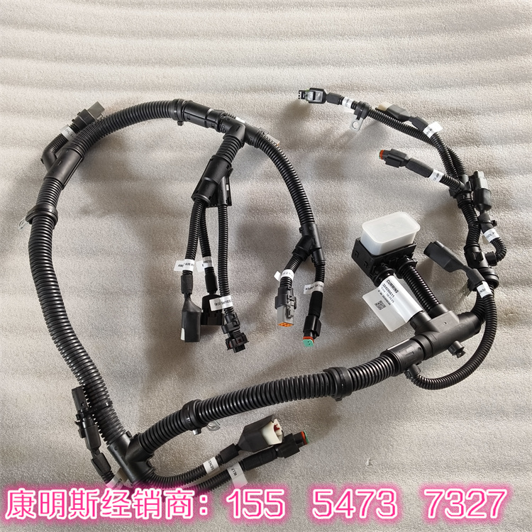 康明斯線束3650849 適用于Stamford PI734B1機組