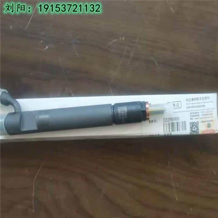 廣西康明斯6CT8.3噴油器5298069 發(fā)動(dòng)機(jī)燃油噴油器