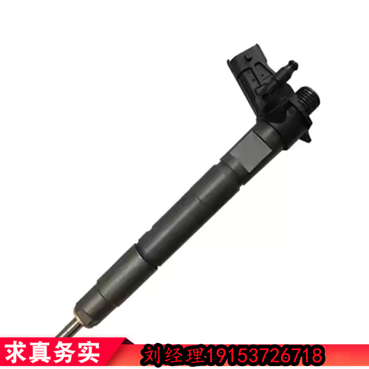 德爾福配件代理 汽車柴油機(jī)噴油器28229873 發(fā)動(dòng)機(jī)油嘴