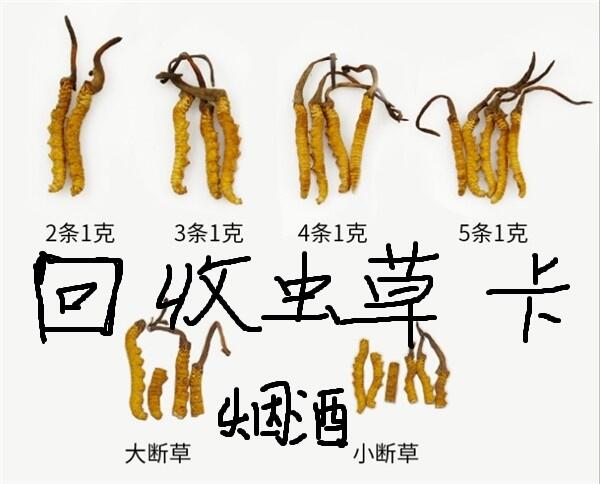 邢臺(tái)信都區(qū)可以回收冬蟲夏草的地方 上門 鑒定 收購蟲草