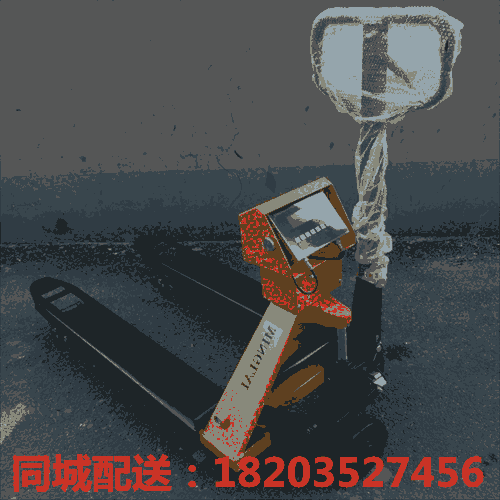 送貨#海南三亞 裝卸用電動(dòng)0.5噸叉車?yán)m(xù)航長新能源電叉車 廣東佛山