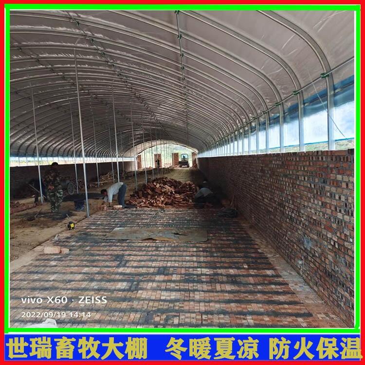 大型牛舍大棚建設(shè) 肉牛養(yǎng)殖大棚搭建 牛棚施工安裝