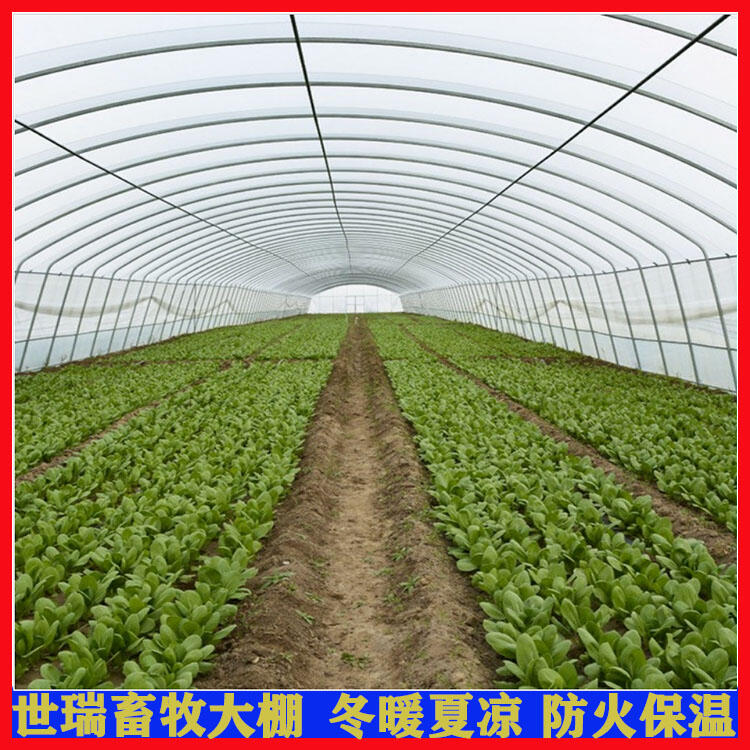 西瓜種植大棚建設(shè) 鍍鋅大棚鋼管生產(chǎn) 蔬菜大棚搭建