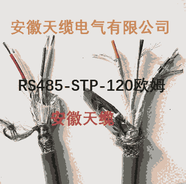 RS-485通訊電纜-RS485數(shù)據(jù)電纜（皖特纜）