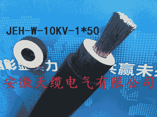 1140V電機引接線JBQ-95平方安徽天纜電氣有限公司供應(yīng)