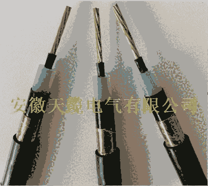 |ƷDYJY-3.6/6KV-1*6CП|