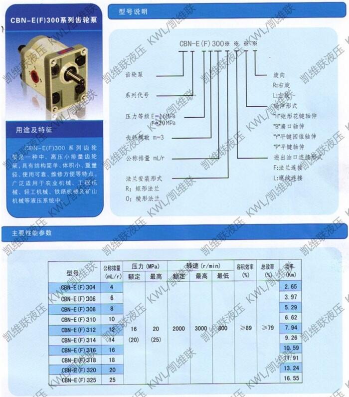 東莞CBK1010/10-B1FR,雙聯(lián)齒輪泵,廠家直銷