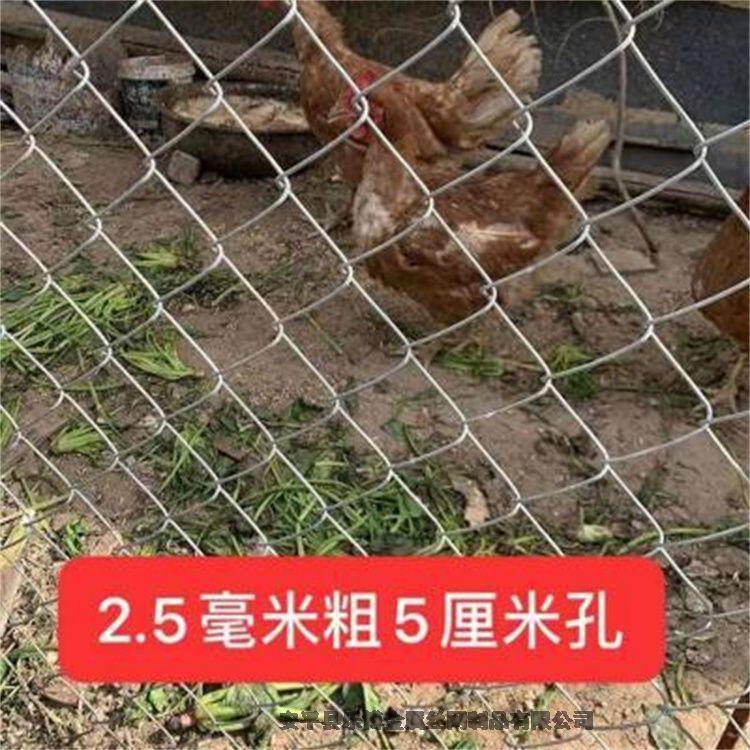 河北鍍鋅勾花網(wǎng)廠家供應菱形圈地圍欄果園隔離護欄