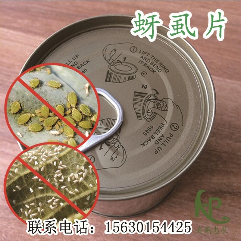 2000片/瓶防治豆角薊馬一棵一片價(jià)格