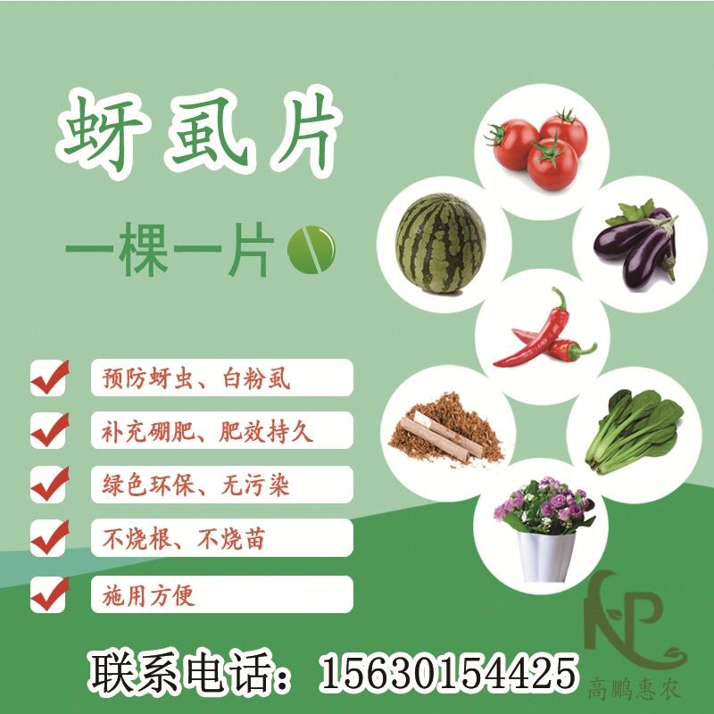 1000片/瓶果蔬類一株一片?？寡料x