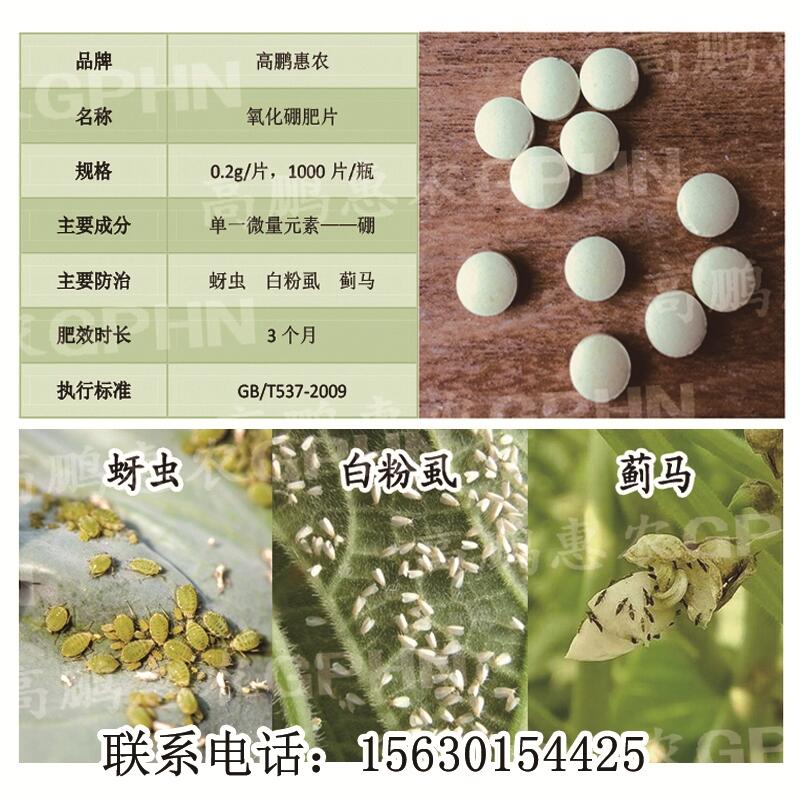 1000片/瓶黃瓜用氧化硼肥片防治蚜蟲