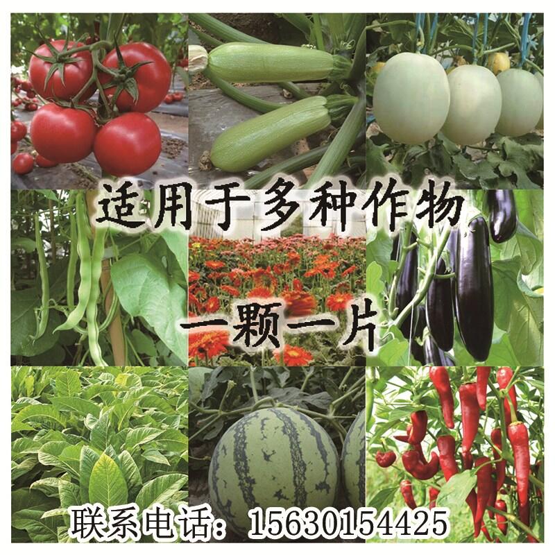 2000片/瓶薊馬專用移栽片促銷價(jià)格