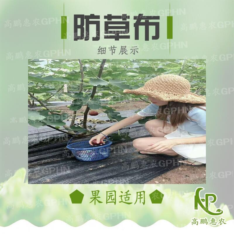 櫻桃園防草布?jí)勖L(zhǎng)