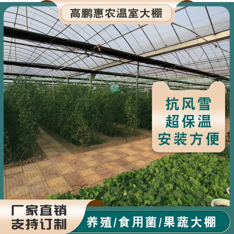 連云港東?？h香蕉大棚骨架棚膜配件