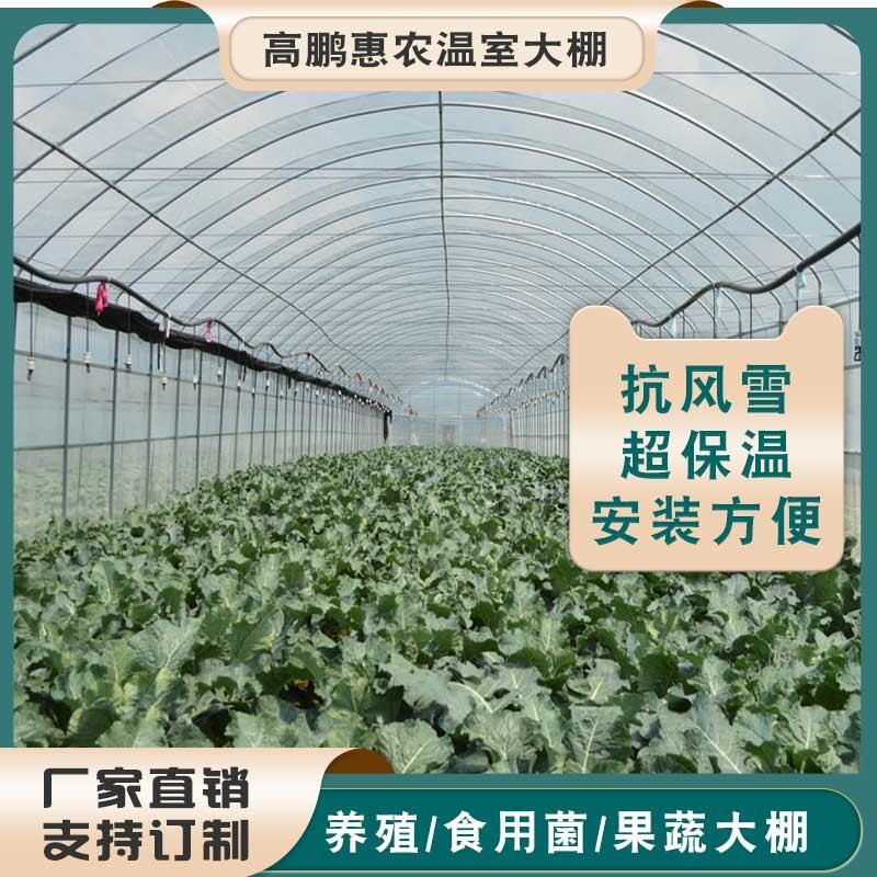 德陽羅江縣四季豆大棚量身設(shè)計