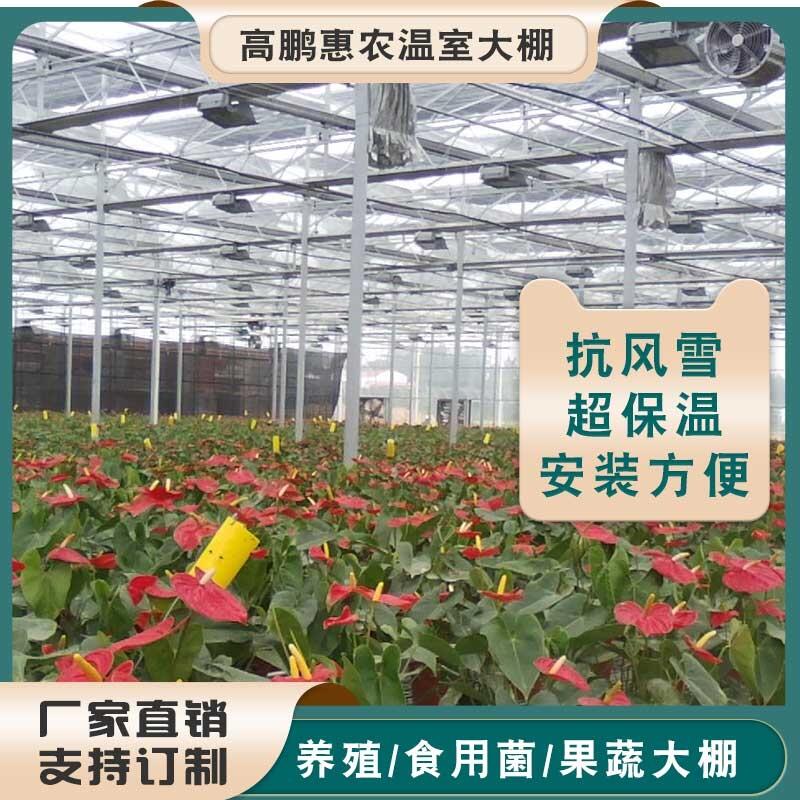 黔南福泉市雞舍大棚工程