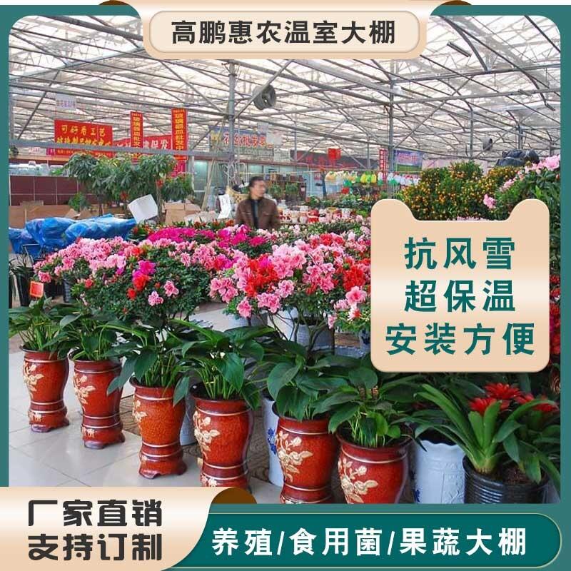 南陽鄧州市黃瓜種植大棚搭建