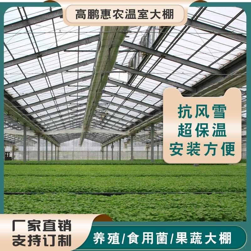 懷化會同縣油菜大棚使用時間長