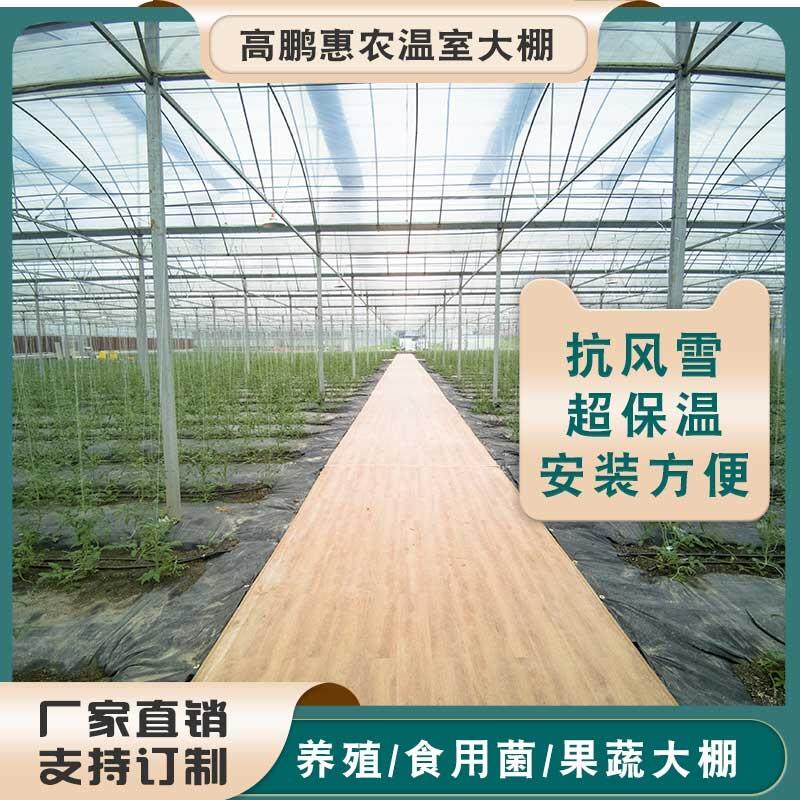 成都龍泉驛區(qū)植物觀賞溫室量身設(shè)計