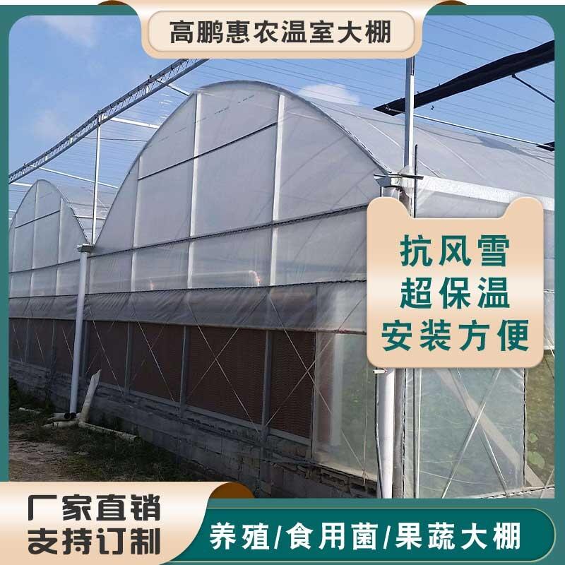 楚雄牟定縣多肉種植大棚工程