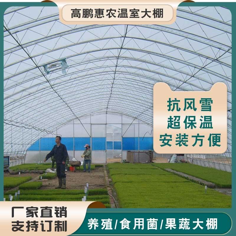 阿壩壤塘縣養(yǎng)豬大棚豬舍保溫材料