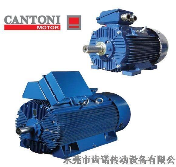 Cantoni普通三相電機(jī) ，Cantoni單相電機(jī)，Cantoni 防爆電機(jī)