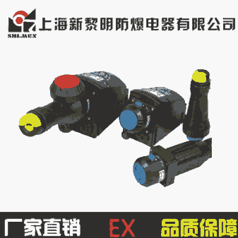 ZXF8575防爆防腐插接裝置 16A 新黎明國標(biāo)正品 廠家直銷