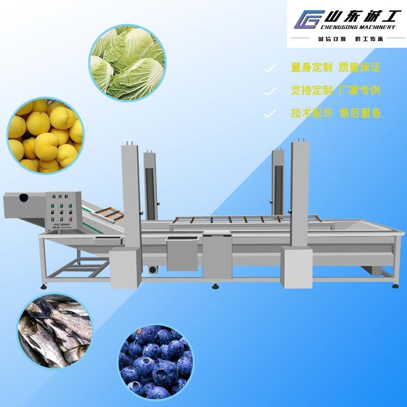 果蔬清洗機不銹鋼氣泡清洗機果蔬噴淋式洗菜機大棗辣椒清洗機設備