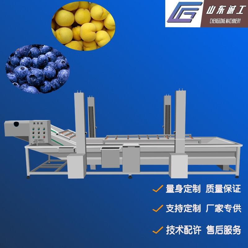 全自動蓮藕氣泡清洗機(jī)大棗海鮮清洗機(jī)誠工專供