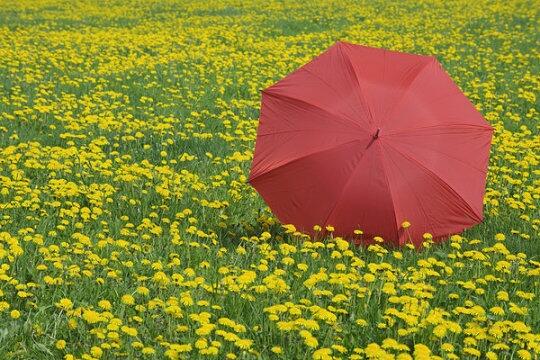 定制logo遇水開花傘黑膠防曬太陽(yáng)傘-昆明